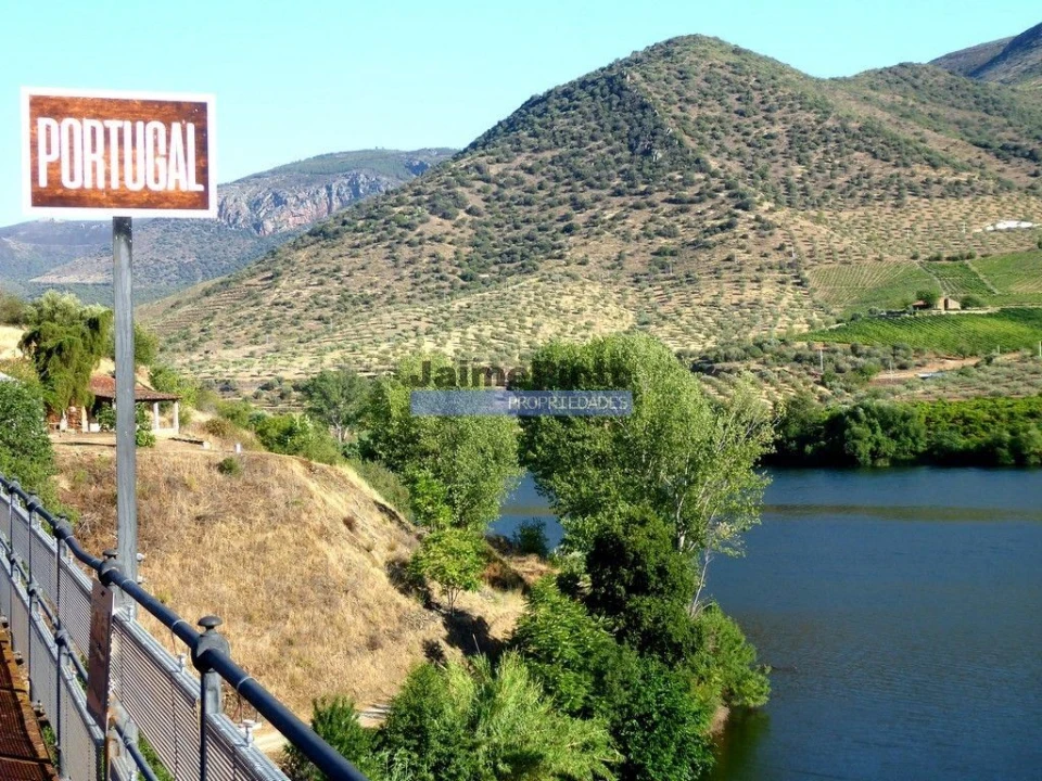 Terreno Agricola ou Rústico para Venda em Figueira de Castelo Rodrigo Foto 7