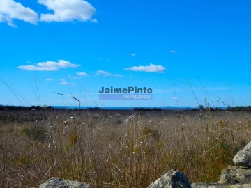 Terreno Agricola ou Rústico para Venda em Figueira de Castelo Rodrigo