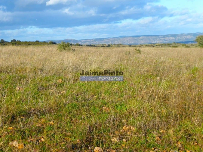 Terreno Agricola ou Rústico para Venda em Figueira de Castelo Rodrigo Foto 3