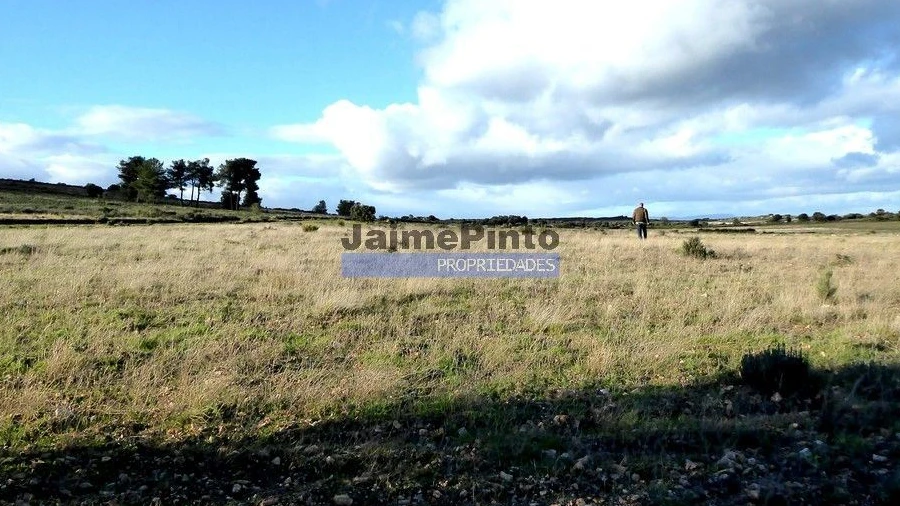 Terreno Agricola ou Rústico para Venda em Figueira de Castelo Rodrigo