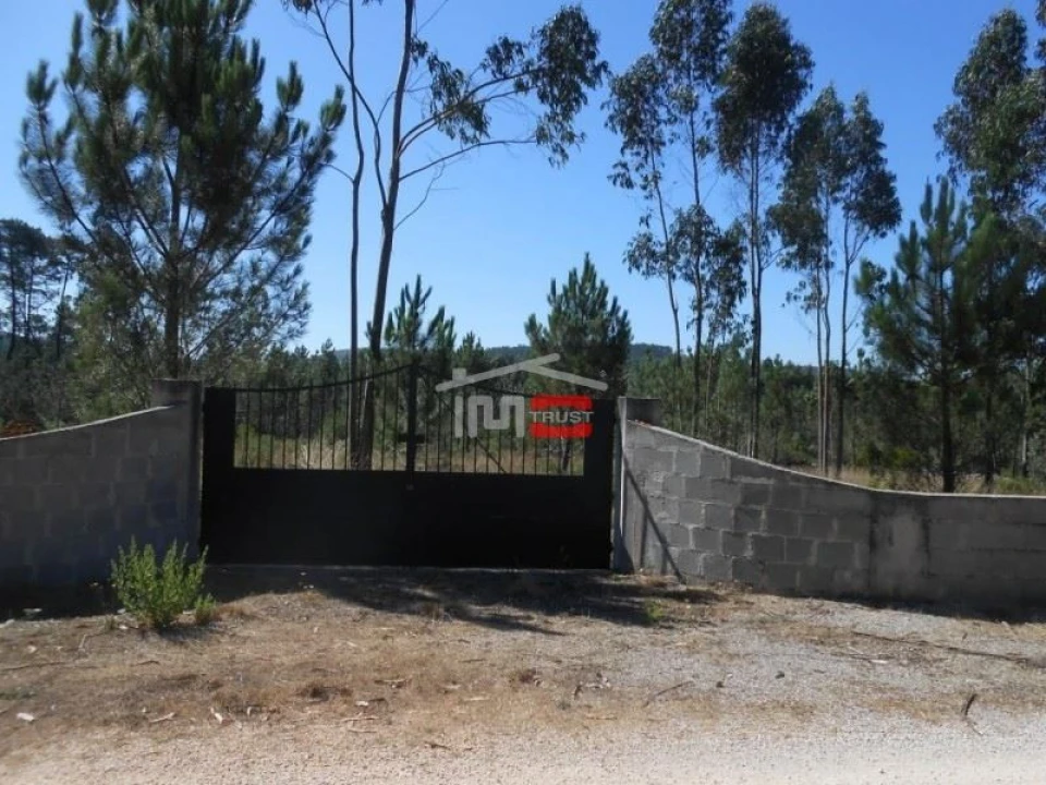 Terreno Misto para Venda em São Mamede Foto 1