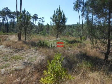 Terreno Misto para Venda em São Mamede