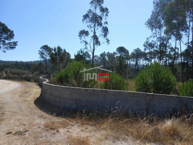 Terreno Misto para Venda em São Mamede Foto 11