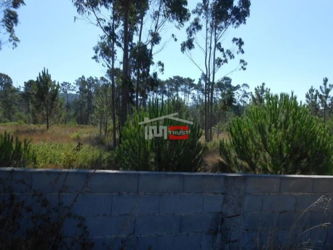 Terreno Misto para Venda em São Mamede Foto 12