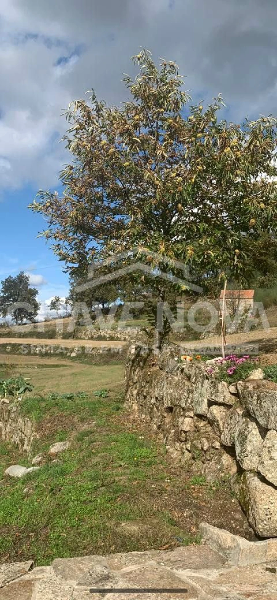 Quinta T2 para Venda em Linhares Foto 3