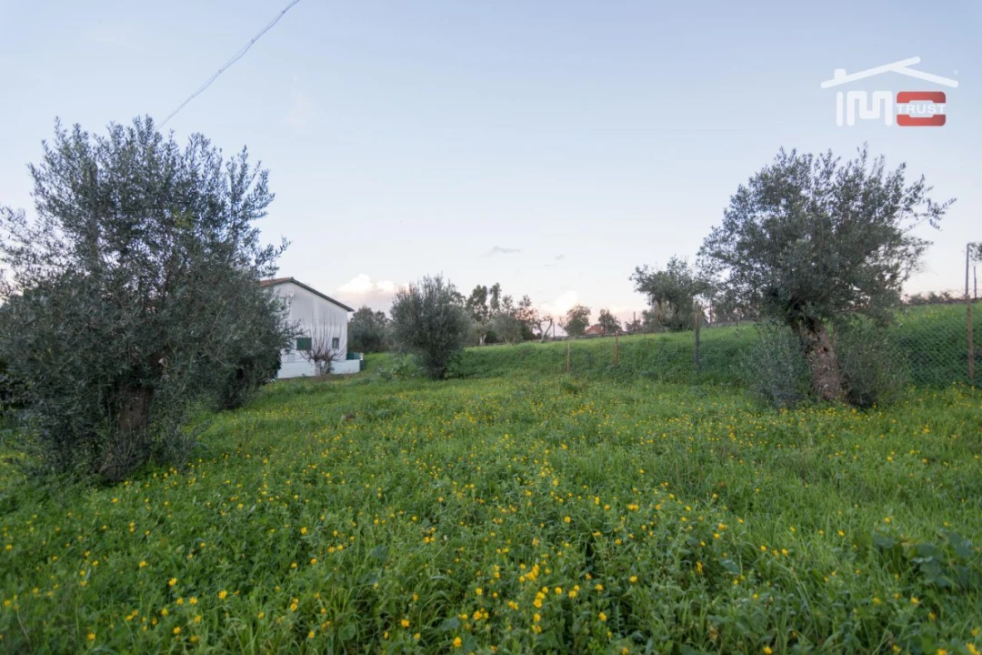 Terreno para Venda em Nossa Senhora das Misericordias Foto 9