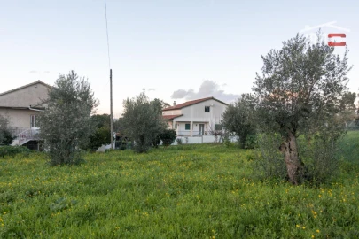 Terreno para Venda em Nossa Senhora das Misericordias