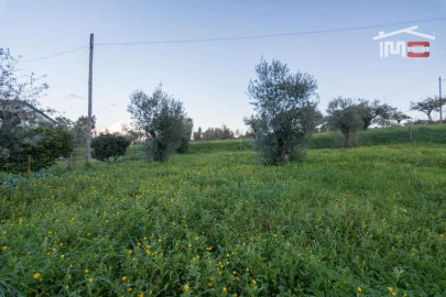 Terreno para Venda em Nossa Senhora das Misericordias