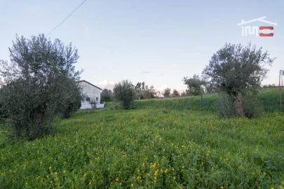 Terreno para Venda em Nossa Senhora das Misericordias