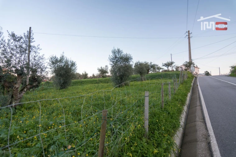 Terreno para Venda em Nossa Senhora das Misericordias Foto 5