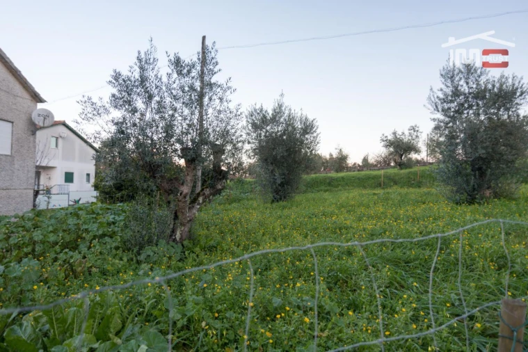 Terreno para Venda em Nossa Senhora das Misericordias Foto 6