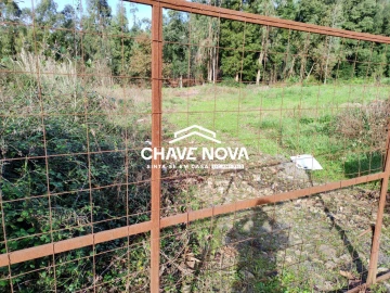 Terreno Agricola ou Rústico para Venda em Rio Meão