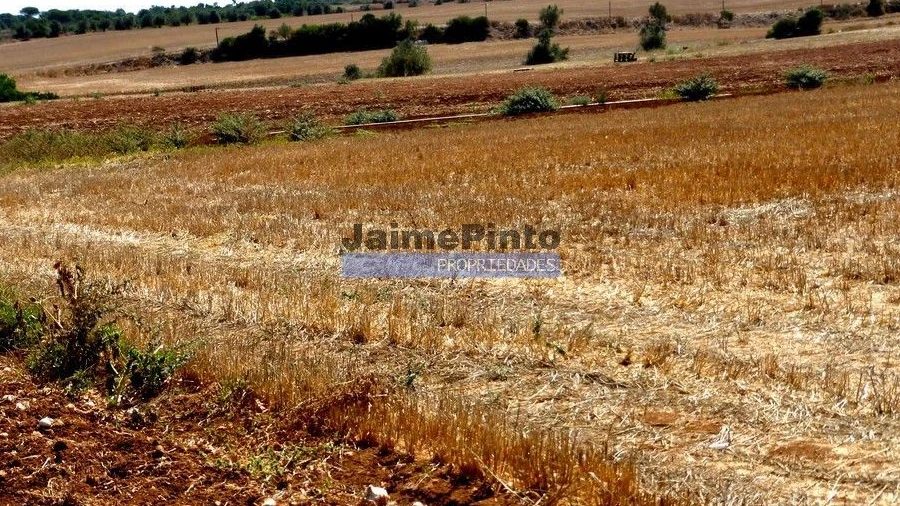 Quinta T0 para Venda em Figueira de Castelo Rodrigo