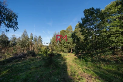 Terreno P/ Prédio para Venda em Paredes