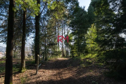 Terreno P/ Prédio para Venda em Paredes