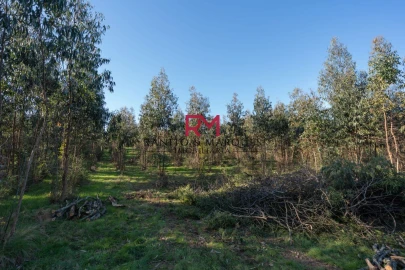 Terreno P/ Prédio para Venda em Paredes