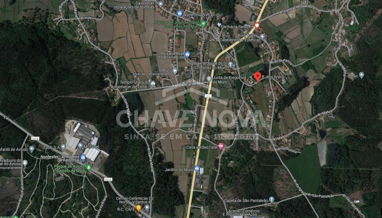 Terreno P/ Prédio para Venda em Muro Foto 11