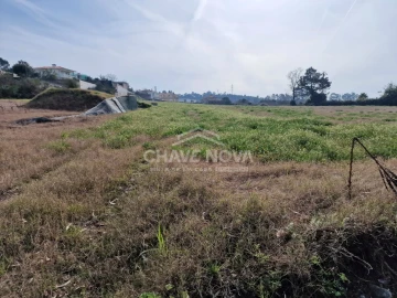 Terreno P/ Prédio para Venda em Muro