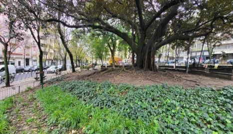 Apartamento T1 para Venda em Arroios