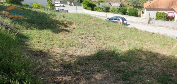 Terreno para Venda em Folgosa