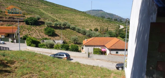 Terreno para Venda em Folgosa