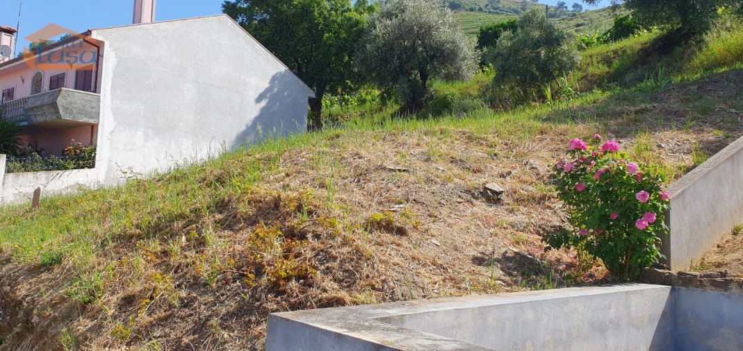 Terreno para Venda em Folgosa Foto 4