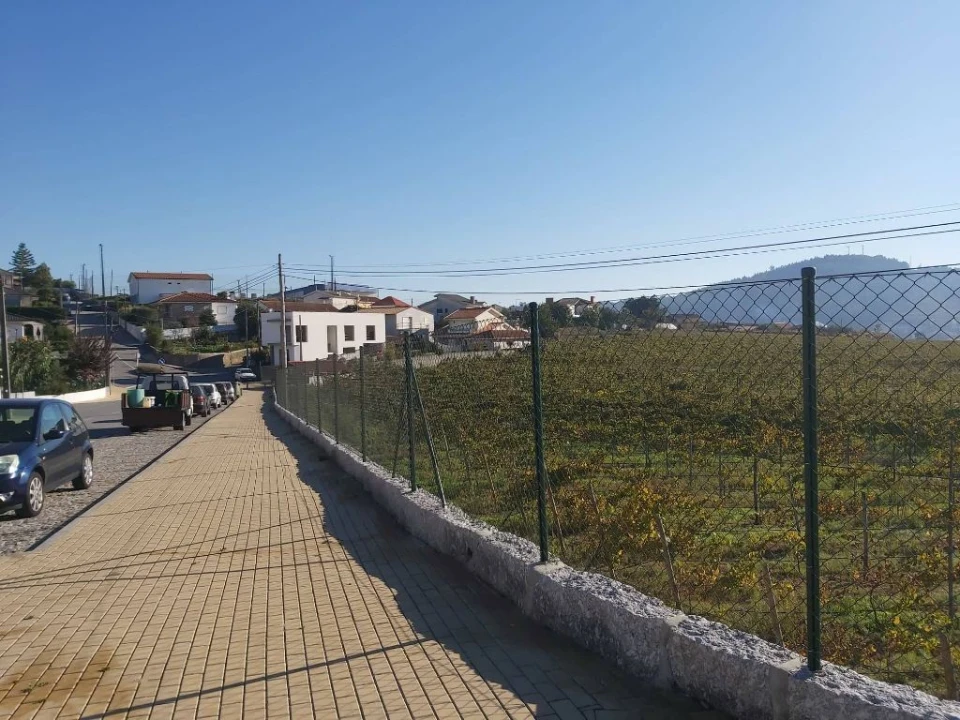 Terreno Agricola ou Rústico para Venda em Nespereira e Casais Foto 4