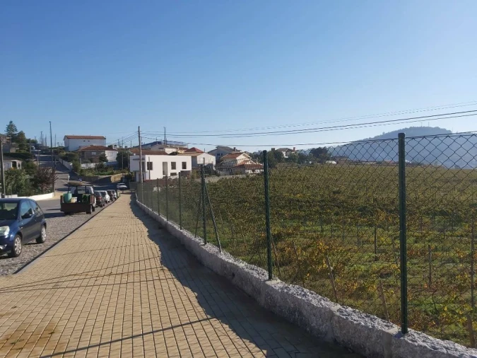 Terreno Agricola ou Rústico para Venda em Nespereira e Casais Foto 4