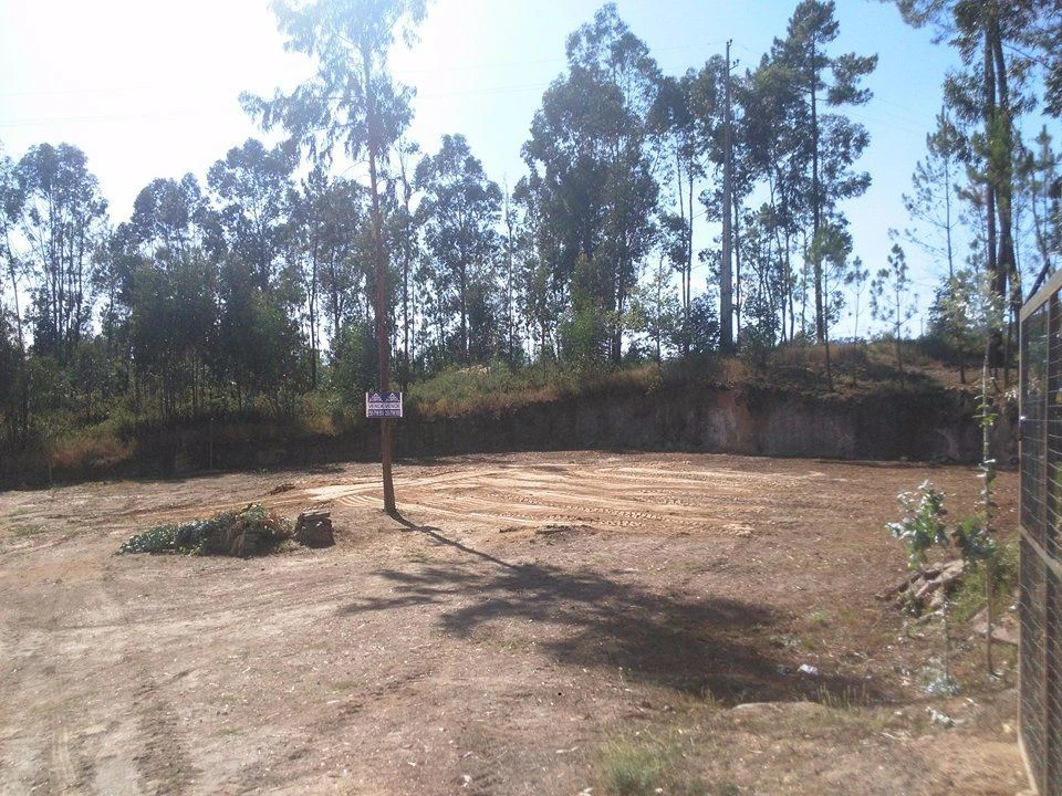 Terreno Agricola ou Rústico para Venda em Cernadelo e Lousada (São Miguel e Santa Margarida) Foto 1