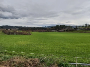 Terreno Agricola ou Rústico para Venda em Silvares, Pias, Nogueira e Alvarenga