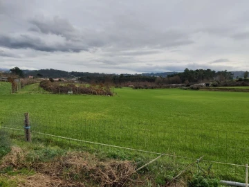 Terreno Agricola ou Rústico para Venda em Silvares, Pias, Nogueira e Alvarenga