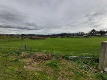 Terreno Agricola ou Rústico para Venda em Silvares, Pias, Nogueira e Alvarenga