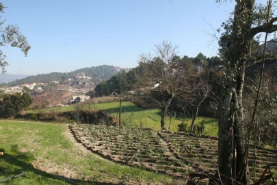 Quinta T2 para Venda em Amarante (São Gonçalo), Madalena, Cepelos e Gatão