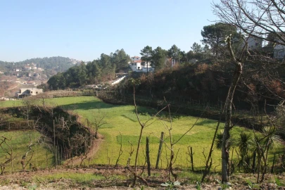 Quinta T2 para Venda em Amarante (São Gonçalo), Madalena, Cepelos e Gatão