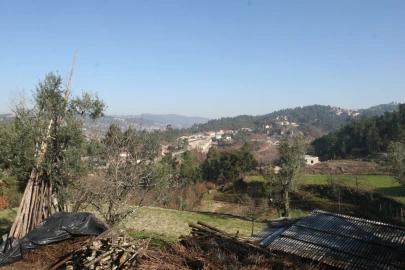 Quinta T2 para Venda em Amarante (São Gonçalo), Madalena, Cepelos e Gatão
