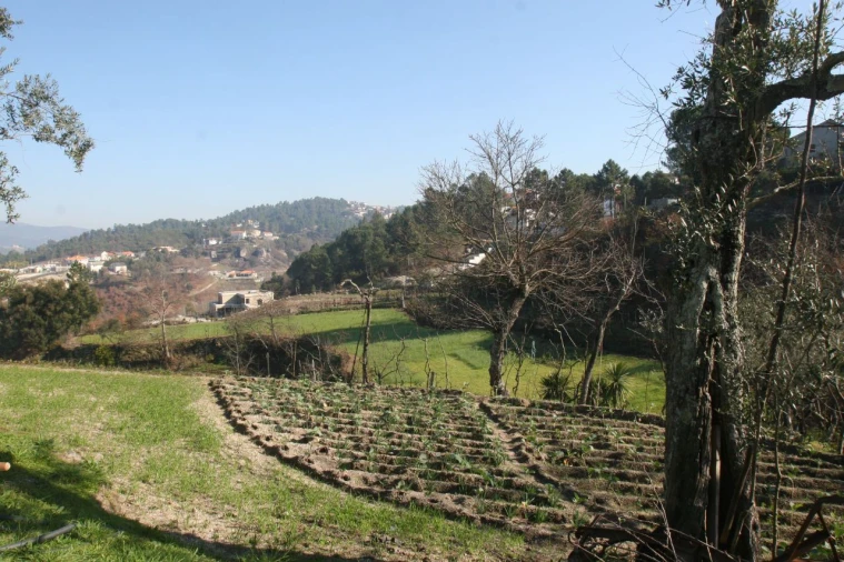 Quinta T2 para Venda em Amarante (São Gonçalo), Madalena, Cepelos e Gatão Foto 4
