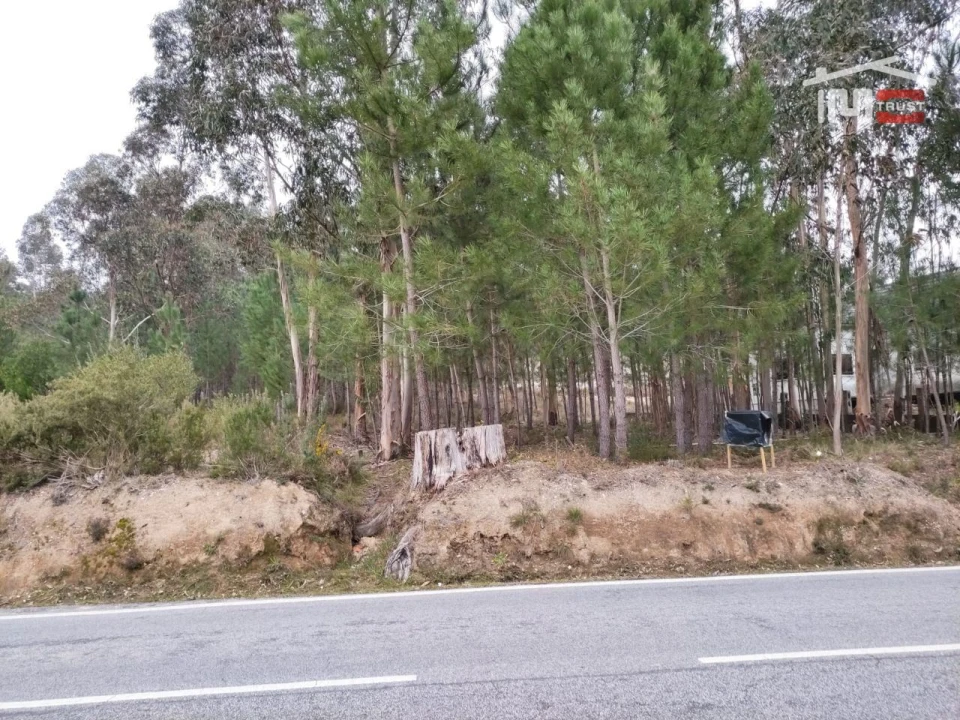 Terreno Agricola ou Rústico para Venda em Urqueira Foto 1