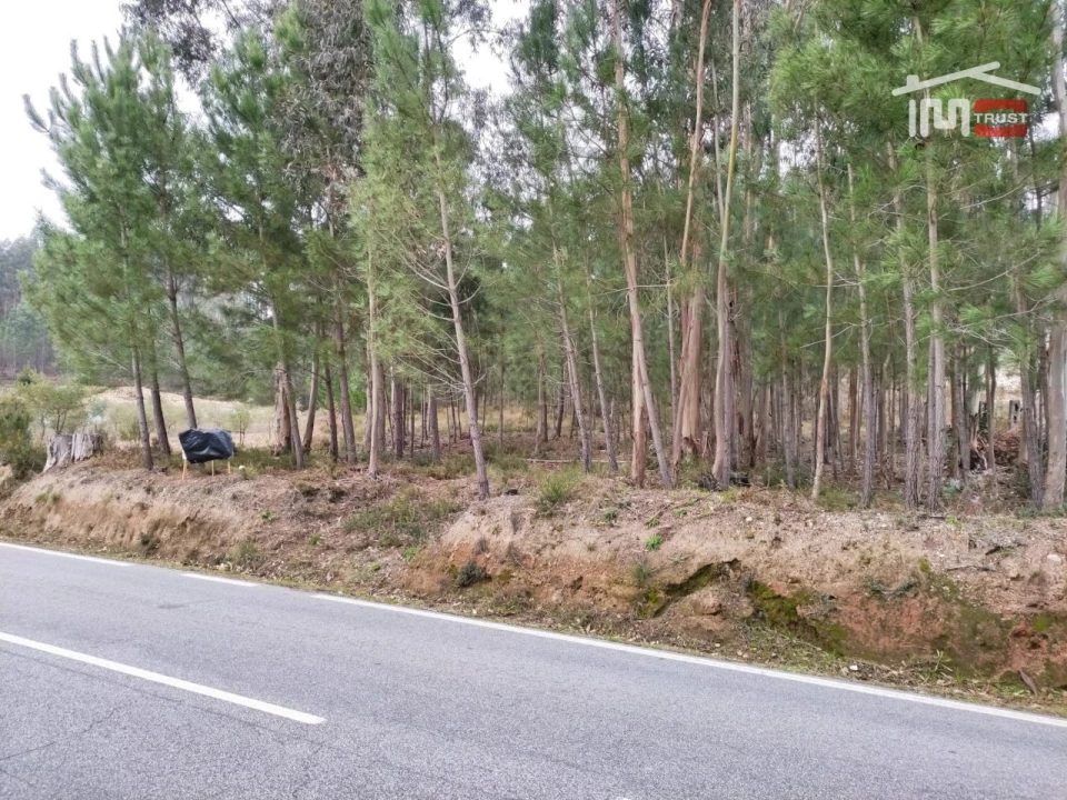 Terreno Agricola ou Rústico para Venda em Urqueira Foto 3