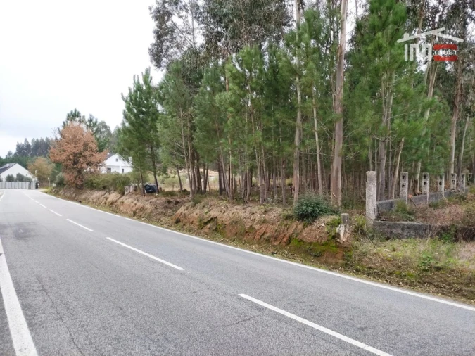Terreno Agricola ou Rústico para Venda em Urqueira Foto 2