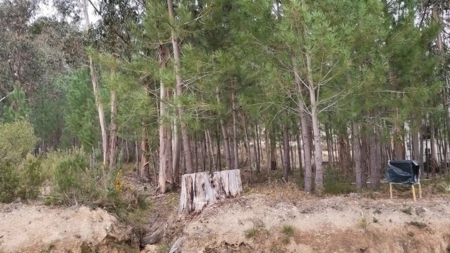 Terreno Agricola ou Rústico para Venda em Urqueira