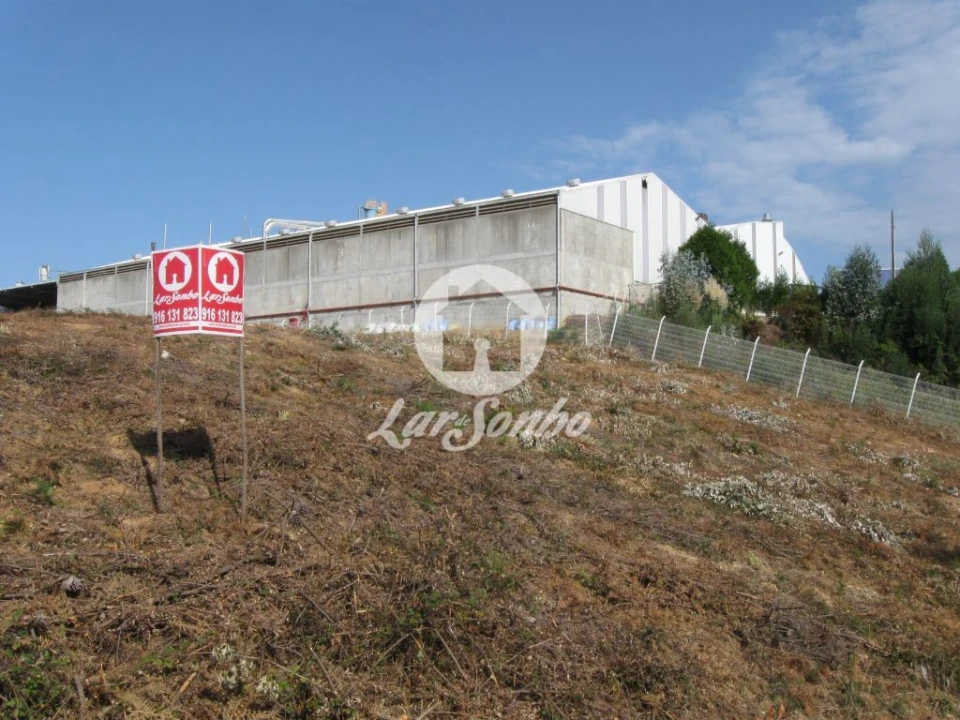Terreno Agricola ou Rústico para Venda em Rio Meão Foto 15