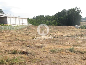 Terreno Agricola ou Rústico para Venda em Rio Meão