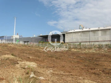 Terreno Agricola ou Rústico para Venda em Rio Meão