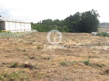 Terreno Agricola ou Rústico para Venda em Rio Meão