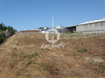 Terreno Agricola ou Rústico para Venda em Rio Meão