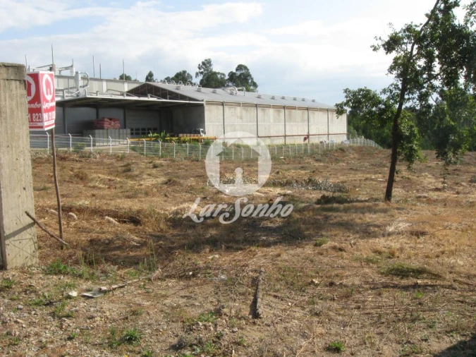 Terreno Agricola ou Rústico para Venda em Rio Meão Foto 7