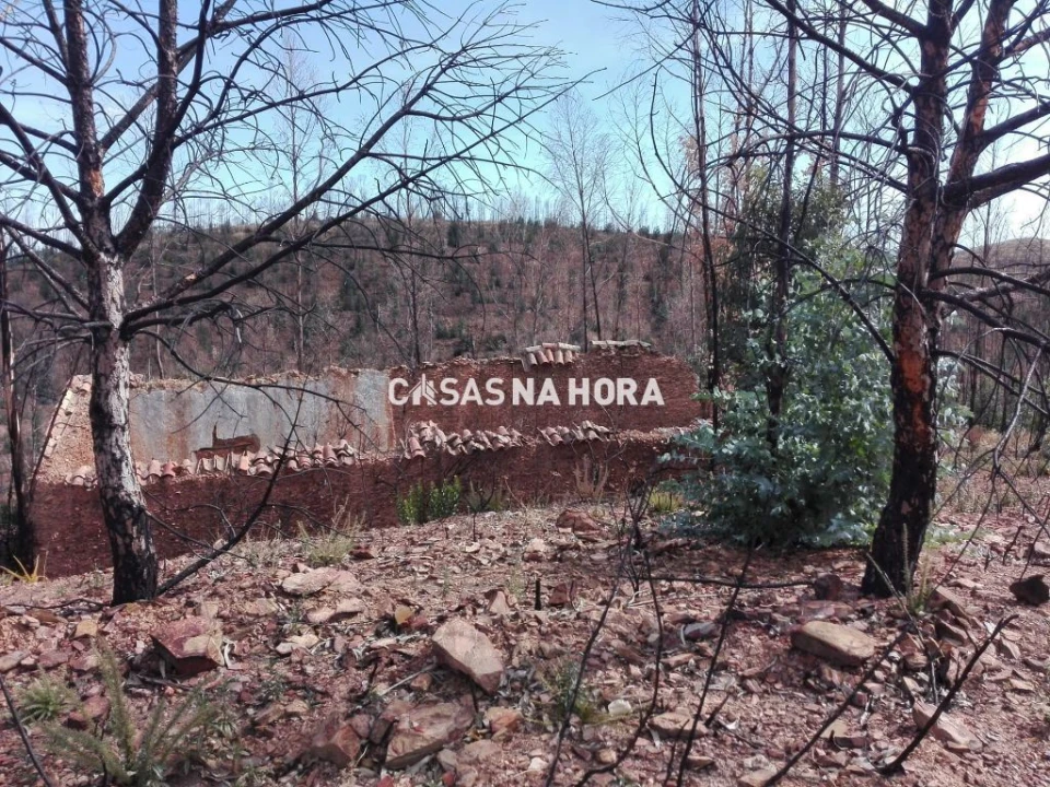 Terreno Misto para Venda em Silves Foto 3