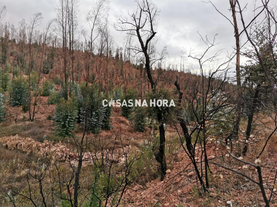 Terreno Misto para Venda em Silves Foto 6