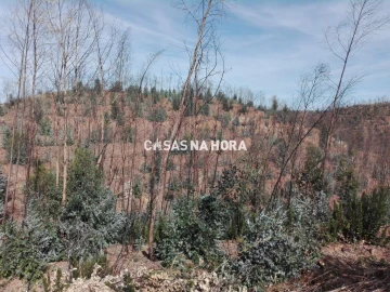 Terreno Misto para Venda em Silves