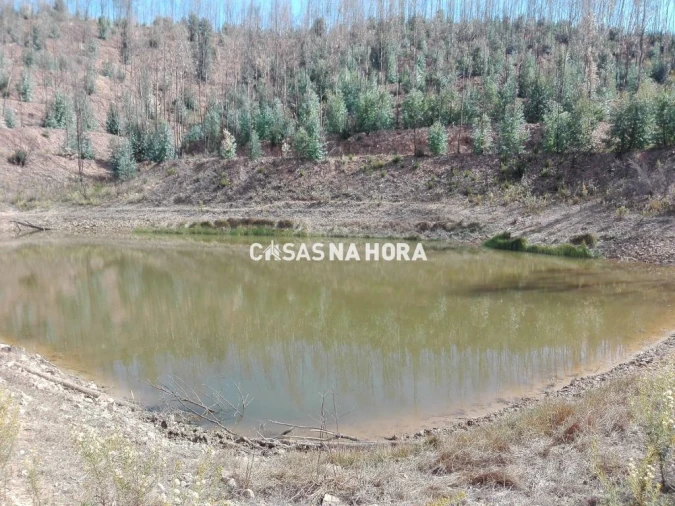 Terreno Misto para Venda em Silves Foto 2